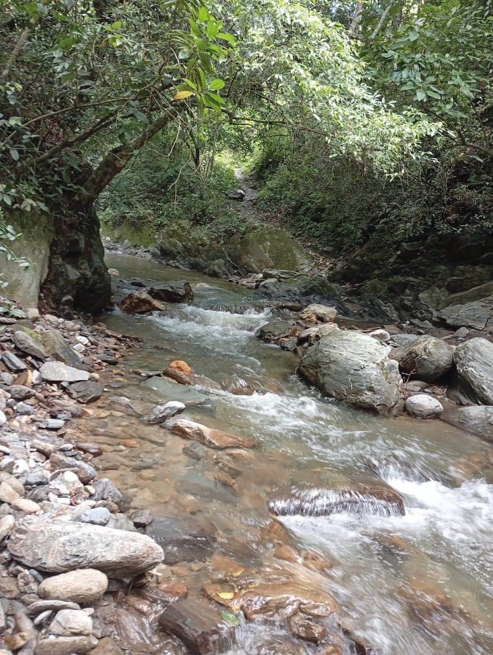 Loma Delgada - naturaleza